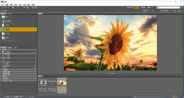 Adobe Bridge cs6截图4