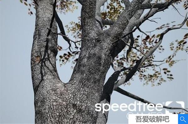 SpeedTree Game 9