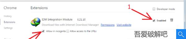 IDM+电脑破解版插件安装、使用方法教程3